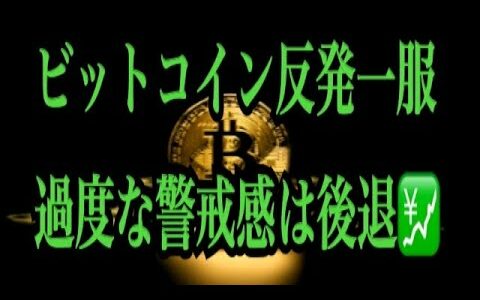 【仮想通貨リップルXRP情報局】ビットコイン反発一服！！過度な警戒感は後退