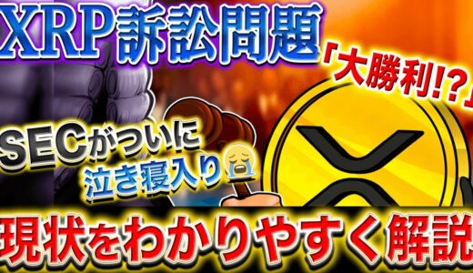 XRP強すぎてSEC大敗⁉️訴訟問題解決で価格が80円台に？現状を解説。【仮想通貨】【XRP】【リップル】