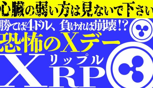 【XRP(リップル)】裁判優勢で爆上げする日が決定？！そこに隠された意外な落とし穴とは！心臓の弱い方は見ないで下さい【仮想通貨】【初心者】【裁判】【SEC】