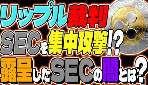 【リップル裁判(XRP)】SECの闇が露呈に！？勝訴に超追い風の好ファンダとは？裁判終了まぢか？【仮想通貨】【最新】【今後】