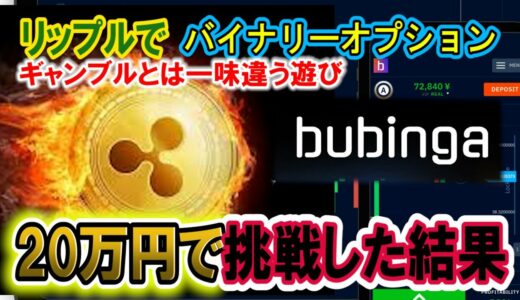 リップルでバイオプ！20万円で勝負した結果がえぐすぎる！