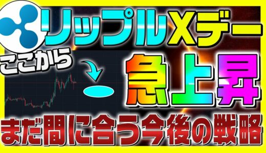 【XRP(リップル)】急上昇する日が決定！まだ遅くない今後の戦略を解説【仮想通貨女子】【初心者必見】