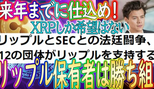 【リップル来年に確定上昇！】裁判に進展！12もの団体が擁護【仮想通貨/暗号資産】【XRP】