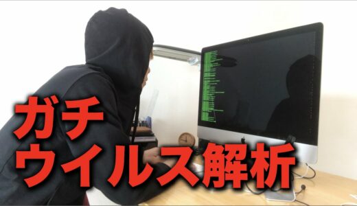 【ホワイトハッカー】メールで送られてきた本物のウイルスを解析してみた結果...