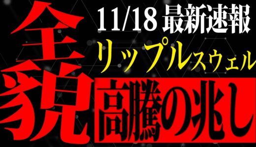 【最速報】リップル高騰の未来はあるか！？リップルスウェル最新速報！