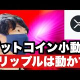 【リップル】ビットコイン小動きリップルは動かず⁉️今後の戦略#仮想通貨＃リップル#xrp