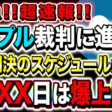 リップル速報【短期爆上げも!?】略式判決で早期解決へ!!9月XX日は超重要!!【仮想通貨】【リップル】【XRP】