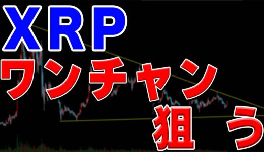 【仮想通貨リップル】少しギャンブルしてみます。真似しないでください。