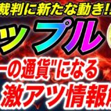 【勝訴確定で遂に終結!?】リップル!!円やドルの法定通貨が濃厚でビットコイン超え!!最新情報と今後の展開徹底解説!!リップル裁判/Ripple/XRP/CBDC/仮想通貨