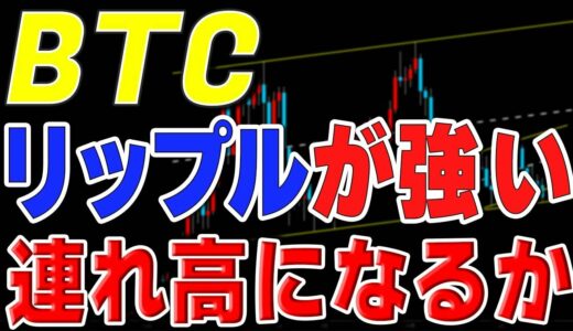 【仮想通貨ビットコイン】リップルが10％高騰。相場を牽引してくれるか