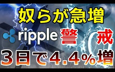 【仮想通貨】リップル（XRP）過去数日間で奴らが急増『何と3日間で4 4%超増』XRP市場の動きに警戒が必要！