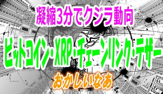 【仮想通貨分析】ビットコイン（BTC）・リップル（XRP）・テザー（USDT）・チェーンリンク（LINK）のクジラ動向。出来高は本物？【トランザクション】暗号資産