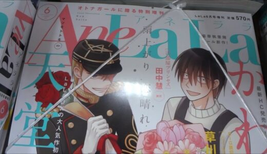 AneLaLaアネララ 2017年 06 月号「かわいいひと」「天堂家物語」