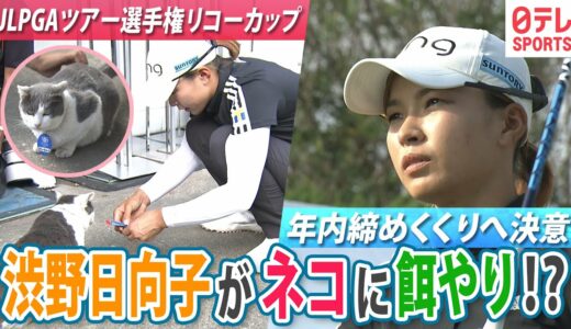 【渋野日向子が参戦】国内女子ゴルフ年内最終戦へ決意 猫へ餌やりでリラックスムード