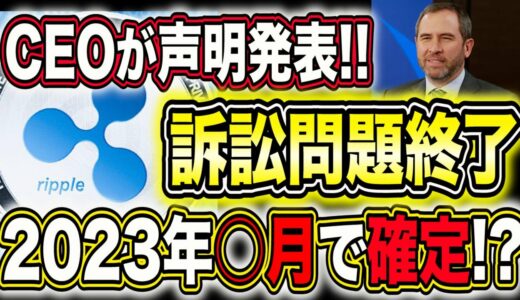 リップル訴訟終了【即視聴必須】爆上げのXデーも確定!!必ず見逃すな!!【仮想通貨】【ビットコイン】【XRP】