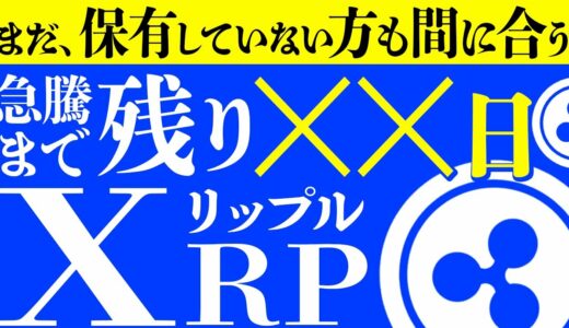 ※まだ間に合います!!【リップル(XRP)】今後の急騰間違いなし！？仮想通貨ripple最新情報を徹底解説！【仮想通貨】【ビットコイン】【SINSO(シンソー)】