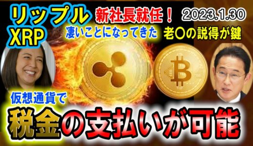 リップル（XRP）で税金の支払いまでもが可能になる！リップル新社長就任でXRPも激熱か！日本が仮想通貨後進国から抜け出す方法はもうあれしかない！