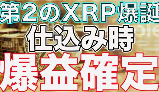 【XRP(リップル)】リップルが裁判に勝つことで、一緒に価格を上げる可能性の高い通貨があります。【仮想通貨】【ビットコイン】【リップル】