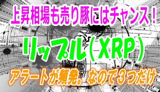 【仮想通貨分析】リップルXRPのクジラアラートが連発で発生。上げ相場でも売り豚は狙います。ｗ【ブロックチェーントランザクション】暗号資産