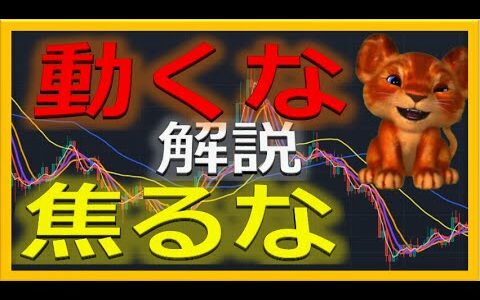 【仮想通貨リップル】想定と違ってもよい！【移動平均線を使った仮想通貨チャート検証】