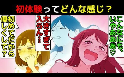 (漫画)初体験時に女がガチで感じていることを漫画にしてみた(マンガで分かる)