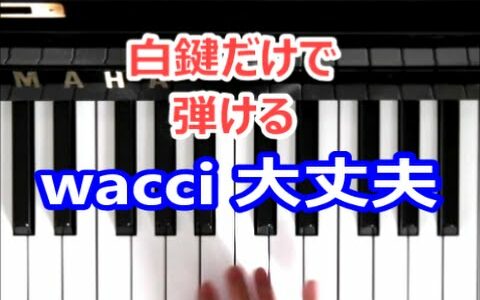 [ピアノで奏でるサビ(キーボードピアノ編）] wacci  大丈夫 37.5℃の涙 主題歌 　[白鍵だけで弾ける][初心者OK]　How to Play Piano （right hand）