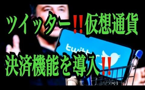 【仮想通貨リップルXRP情報局】ツイッター！！仮想通貨決済機能を導入！！