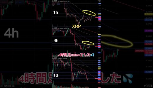 【XRP】12/23 短期トレードポイント 仮想通貨 リップル