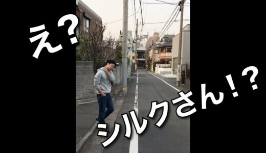 【シルクロードさん!?に遭遇? 】すれ違い際…？【#2】