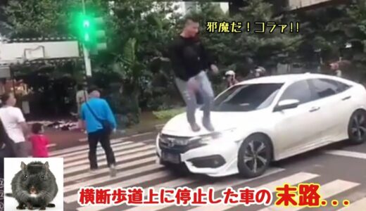 イカついヤンキーが横断歩道上に停止した車を見つけた時の対応がコチラ...