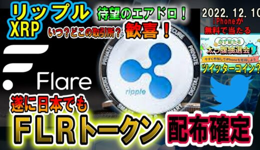 リップル（XRP）遂に日本でもフレアトークンの配布を決定！対応しない取引所？ビットコインは将来いくらになる？ツイッターが仮想通貨を作る？