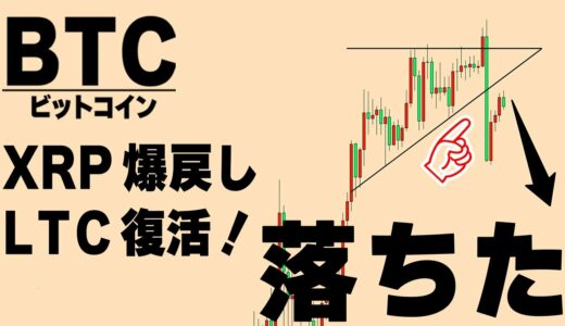 【仮想通貨BTC,XRP,LTC】ビットコインは下落もアルトのターンに突入！特に調整を終えたライトコインの上昇には要注目