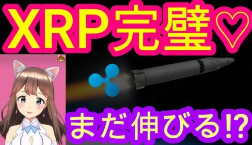 03/22【仮想通貨】XRP相場分析♡5分で聞ける♪インスタは説明欄から登録してね↓↓↓サクッと見れる♪通勤前や寝る前のインプットにおすすめ♡