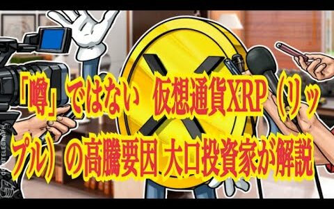 【仮想通貨】リップル最新情報‼️「噂」ではない  仮想通貨XRP（リップル）の高騰要因  大口投資家が解説💹