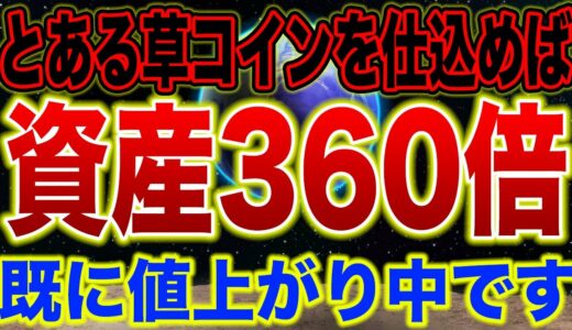 【脅威の草コイン】既に101%の上昇を達成させた今最も注目されている草コインとは...???【仮想通貨】【リップル】【ビットコイン】