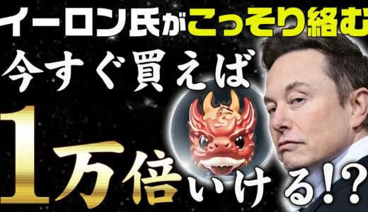 【イーロン銘柄】一瞬で500倍！今後さらに爆上げ濃厚なイーロン・マスク関連銘柄【仮想通貨女子】【初心者必見】