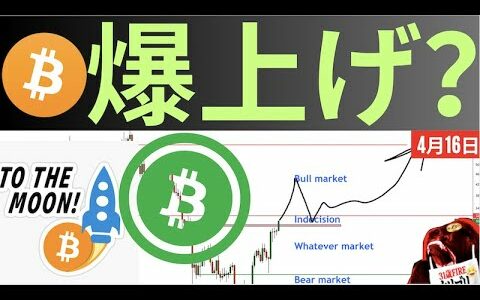 【ビットコイン爆上げ？】Bitcoin３万ドル予想したアナリストが爆上げ予想？