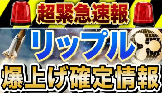 リップルが動き出す【短期爆益の大チャンス!?】稼ぎたい方は必ず見てください。【仮想通貨】【ビットコイン/XRP】