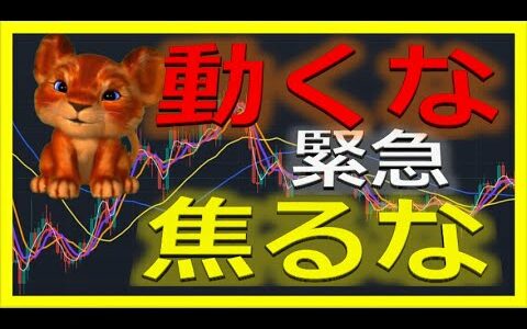 【仮想通貨リップル最新】次の下落で暴騰が決まる！【移動平均線を使った仮想通貨チャート検証】