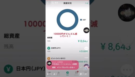 仮想通貨ってこんなもん。#リップル #仮想通貨#投資