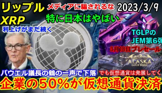 リップル（XRP）仮想通貨決済を50％以上の企業が3年以内に導入！これは国家対仮想通貨の戦いだ！TGLPが3月18日にはじまる！