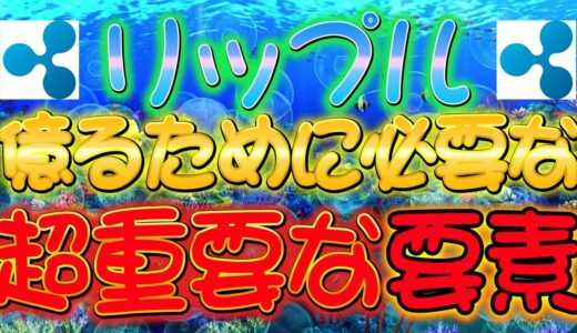 仮想通貨リップル【超重要】億り人になるために重要なこと【仮想通貨】【XRP】