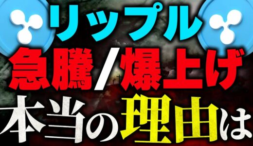 【リップル(仮想通貨)】XRPの最新情報!裁判の影響で急騰!?RippleはSEC訴訟と関係ない理由で爆上げを起こしました！【ビットコイン(BTC)】【caw.xrp.bnb】