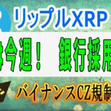 【リップル・XRP】リップル弁護士「判決は今週もありえる」、速報！バイナンス規制違反～、リップルの銀行採用、XRPブロックチェーンのトランザクション数。【仮想通貨】