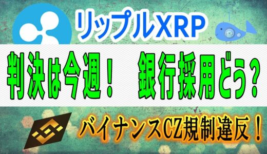 【リップル・XRP】リップル弁護士「判決は今週もありえる」、速報！バイナンス規制違反～、リップルの銀行採用、XRPブロックチェーンのトランザクション数。【仮想通貨】