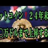 【仮想通貨リップルXRP情報局】ビットコイン！！２４年末に○○万ドルまで上昇する⁈