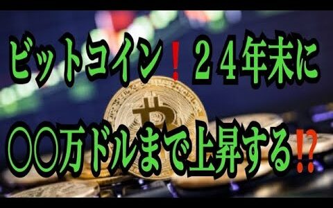 【仮想通貨リップルXRP情報局】ビットコイン！！２４年末に○○万ドルまで上昇する⁈