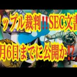 【仮想通貨リップルXRP情報局】リップル裁判！！SEC文書6月6日までに公開か⁈