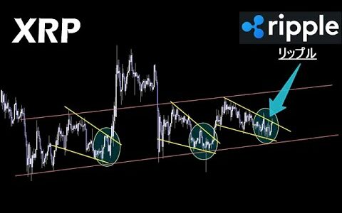 主役は遅れてやってくる【XRP リップル】