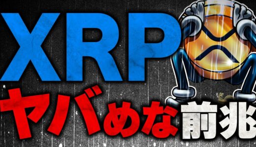 【リップル(XRP)】SEC訴訟で仮想通貨全体が悲観相場に!?ビットコイン(BTC)の投資方法も限定されていきます。